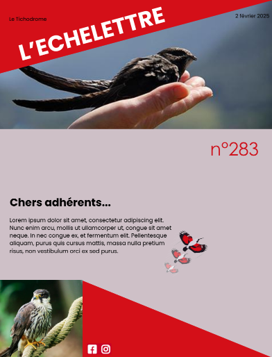 3 tich